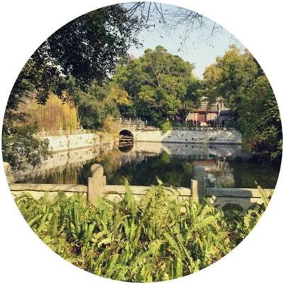 im电竞官方网站入口截图